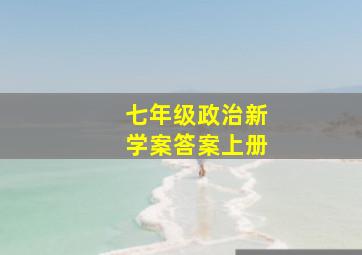 七年级政治新学案答案上册