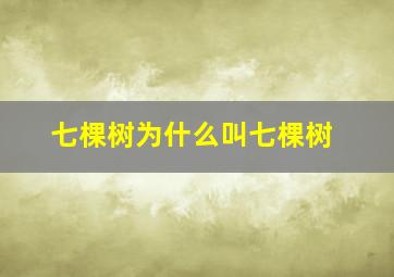 七棵树为什么叫七棵树