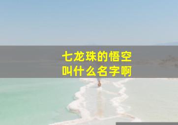 七龙珠的悟空叫什么名字啊