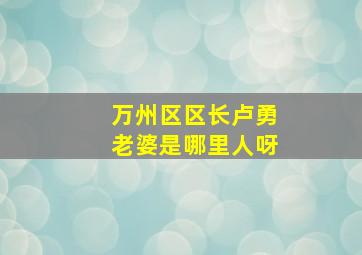 万州区区长卢勇老婆是哪里人呀