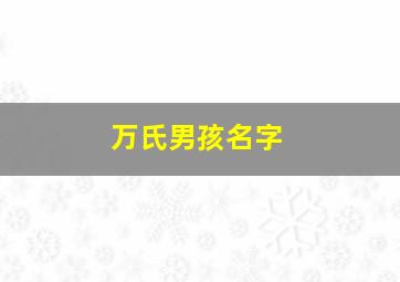 万氏男孩名字