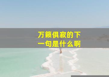 万籁俱寂的下一句是什么啊