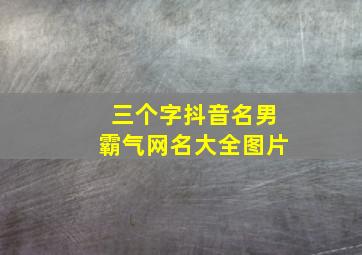 三个字抖音名男霸气网名大全图片