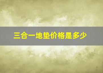 三合一地垫价格是多少