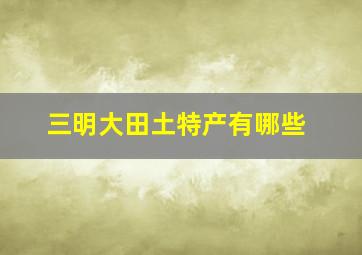 三明大田土特产有哪些