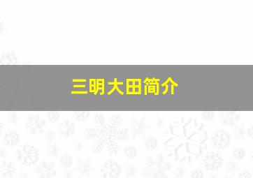 三明大田简介