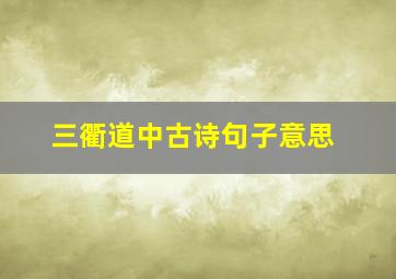 三衢道中古诗句子意思