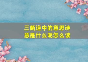 三衢道中的意思诗意是什么呢怎么读