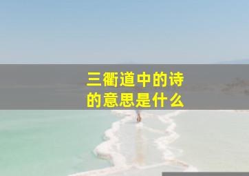 三衢道中的诗的意思是什么