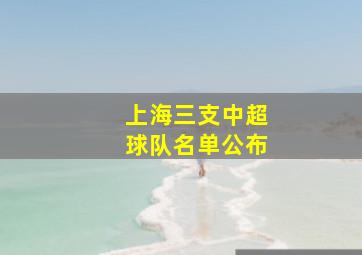 上海三支中超球队名单公布