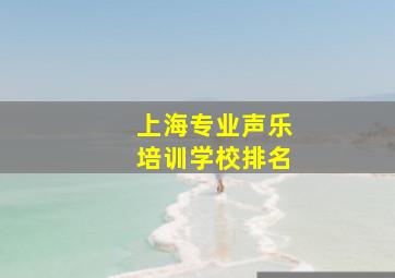 上海专业声乐培训学校排名