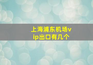 上海浦东机场vip出口有几个