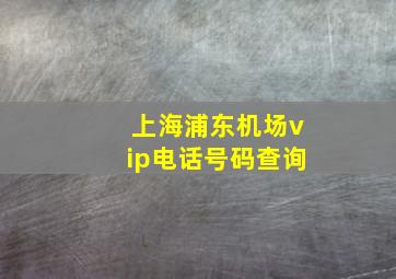 上海浦东机场vip电话号码查询