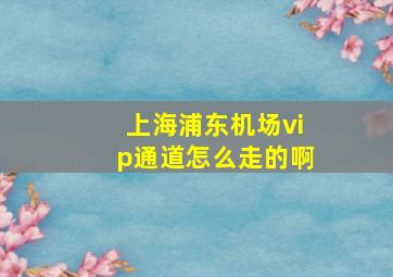 上海浦东机场vip通道怎么走的啊