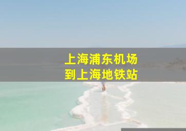 上海浦东机场到上海地铁站