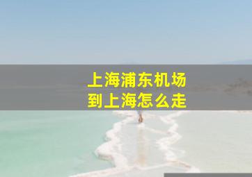 上海浦东机场到上海怎么走