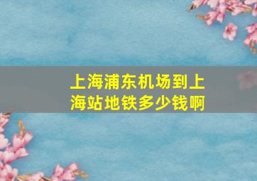 上海浦东机场到上海站地铁多少钱啊