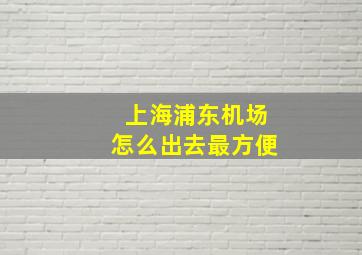 上海浦东机场怎么出去最方便