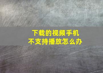 下载的视频手机不支持播放怎么办