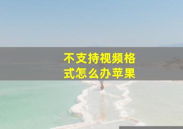 不支持视频格式怎么办苹果