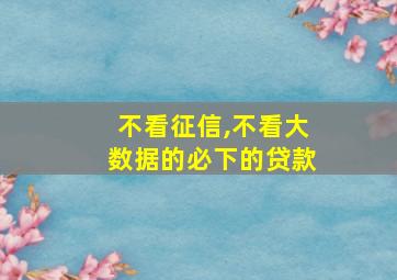 不看征信,不看大数据的必下的贷款