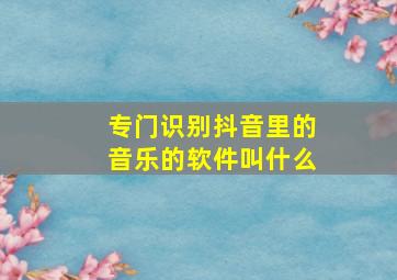 专门识别抖音里的音乐的软件叫什么