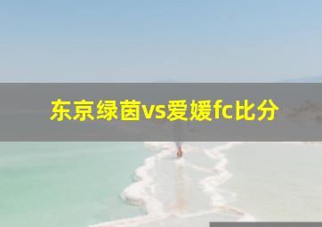 东京绿茵vs爱媛fc比分