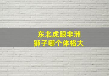 东北虎跟非洲狮子哪个体格大