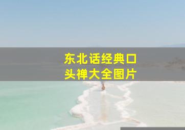 东北话经典口头禅大全图片