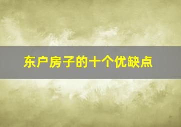 东户房子的十个优缺点