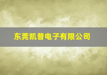 东莞凯普电子有限公司