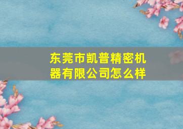 东莞市凯普精密机器有限公司怎么样