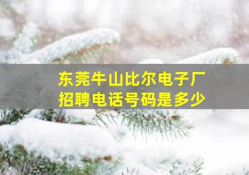 东莞牛山比尔电子厂招聘电话号码是多少