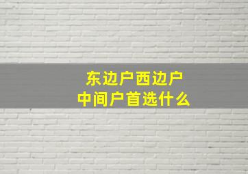 东边户西边户中间户首选什么