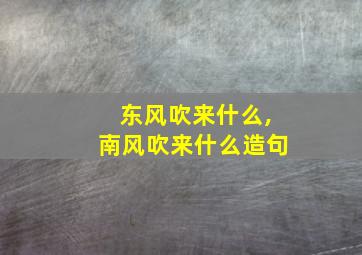 东风吹来什么,南风吹来什么造句