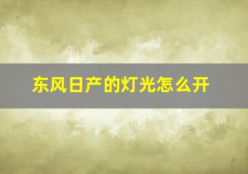 东风日产的灯光怎么开