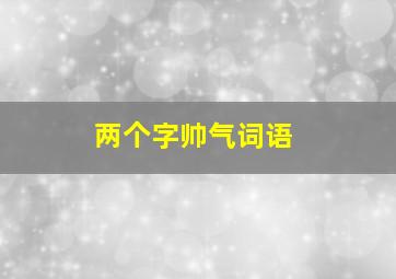 两个字帅气词语