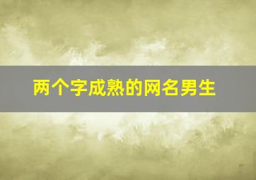 两个字成熟的网名男生