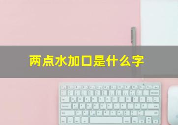 两点水加口是什么字