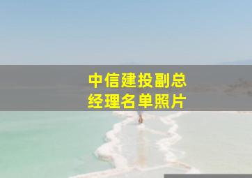 中信建投副总经理名单照片