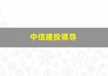 中信建投领导