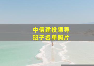 中信建投领导班子名单照片