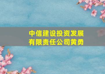 中信建设投资发展有限责任公司黄勇