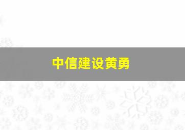 中信建设黄勇