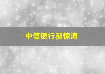 中信银行郝惊涛