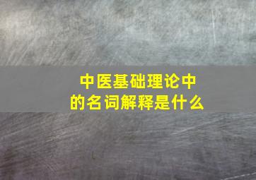 中医基础理论中的名词解释是什么