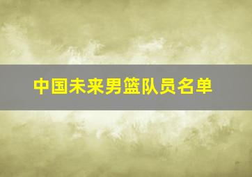 中国未来男篮队员名单