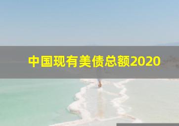 中国现有美债总额2020