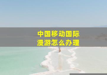 中国移动国际漫游怎么办理