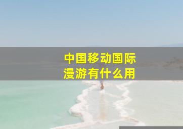 中国移动国际漫游有什么用